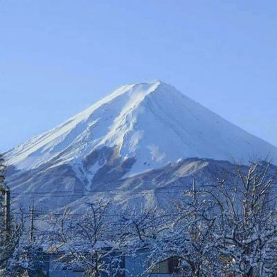 oppo版全民乐舞手游下载