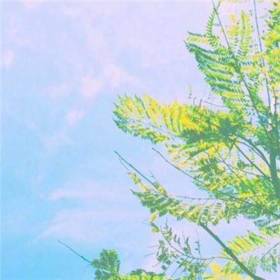 星灵特工队内购破解版下载